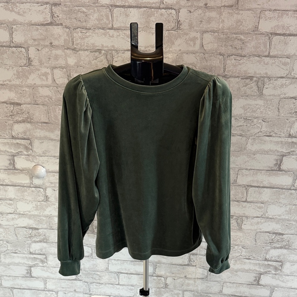 LOFT Sage Green Velvet Top
